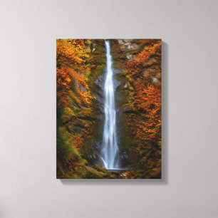 Waterfall No. 1, Waterfall Series Canvas Print