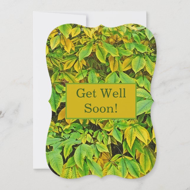 "Waterfall" Of Lime-Green And Lemon-Yellow Leaves (Front)