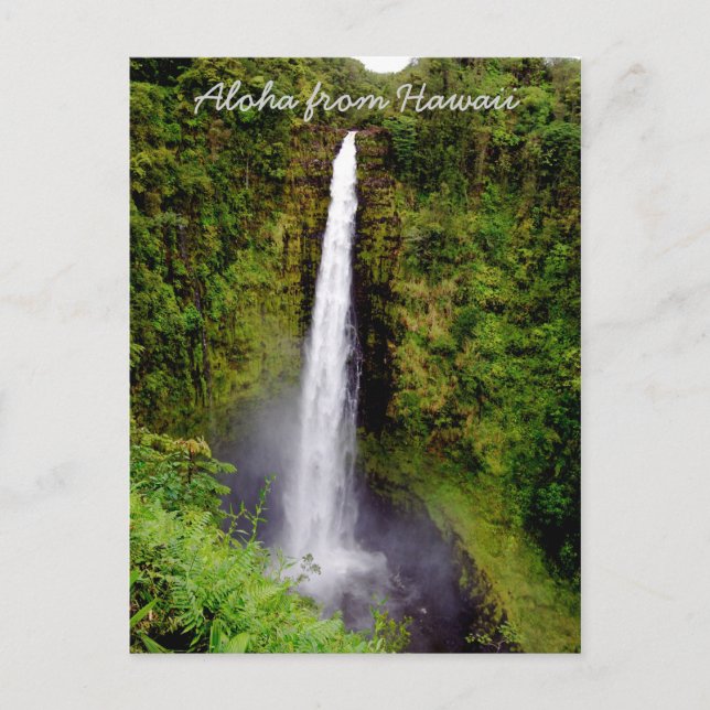 Waterfall on Big Island of Hawaii Postcard (Front)