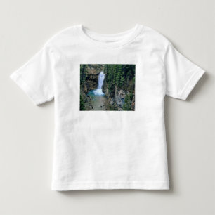 Waterfall on Falls Creek in Lewis and Clark Toddler T-Shirt
