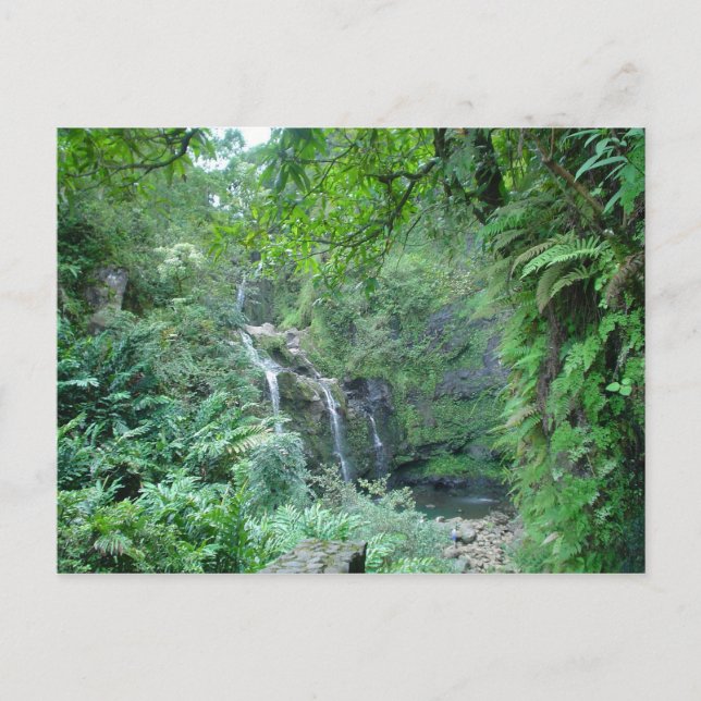 Waterfall on the Road to Hana Postcard (Front)