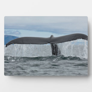 Waterfall Plaque