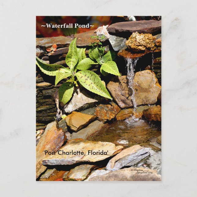 Waterfall pond Port Charlotte FL Postcard (Front)
