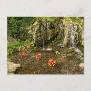 Waterfall Postcard