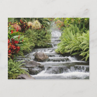 Waterfall Postcard