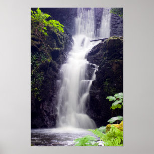 Waterfall Poster
