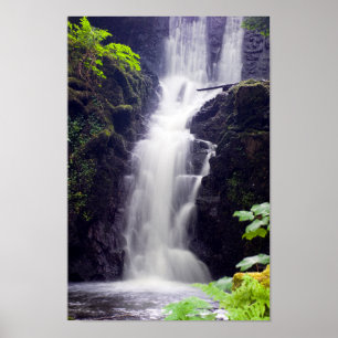Waterfall Poster