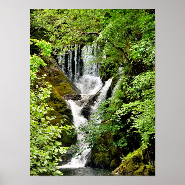 WATERFALL  POSTER (Front)