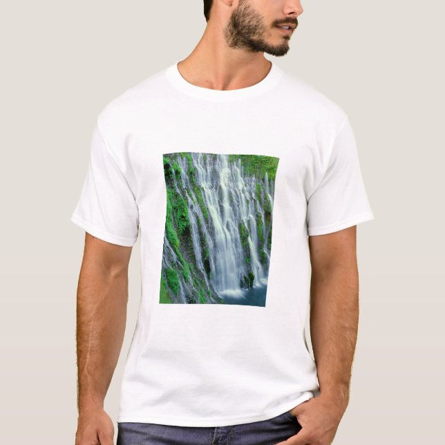 Waterfall scenic, California T-Shirt (Front)