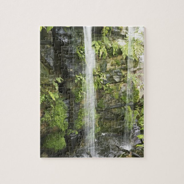 Waterfall, Temperate rainforest, New Zealand. Jigsaw Puzzle (Vertical)