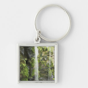Waterfall, Temperate rainforest, New Zealand. Key Ring