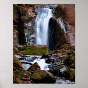 Waterfall Trail Cottage Office Destiny's Destiny Poster