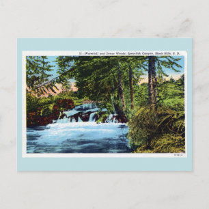 Waterfall, woods, Spearfish Canyon, Black Hills SD Postcard