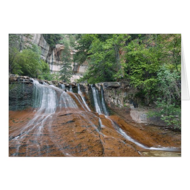 Waterfall, Zion National Park, Utah, USA (Front Horizontal)
