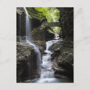 Waterfalls at Watkins Glen, NY Postcard