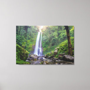 Waterfalls   Bali, Indonesia Canvas Print