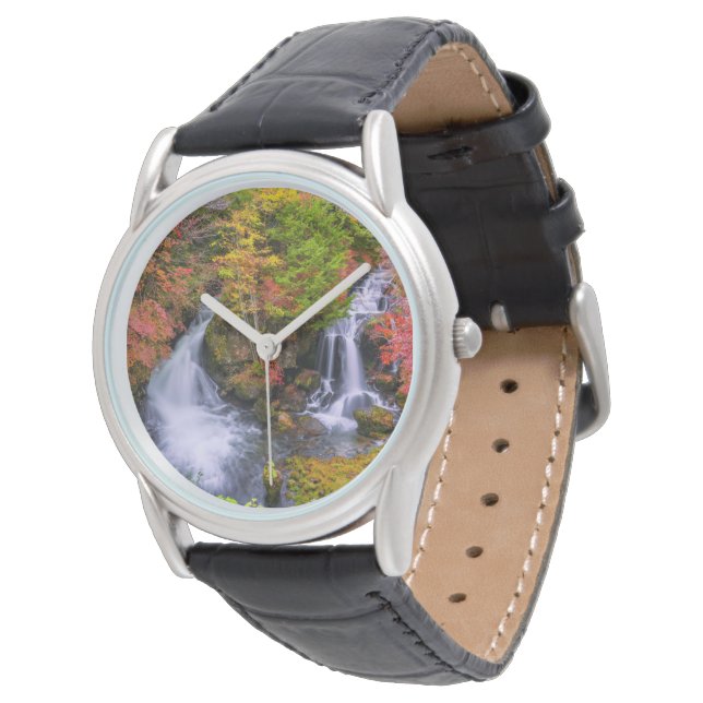 Waterfalls | Faucet Waterfalls Nikko Japan Fall Watch (Angled)