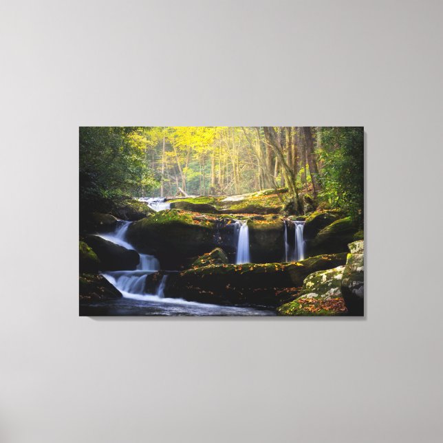 Waterfalls | Great Smoky Mountain National Park Canvas Print (Front)