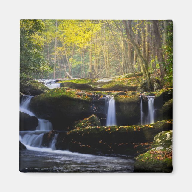 Waterfalls | Great Smoky Mountain National Park Magnet (Front)