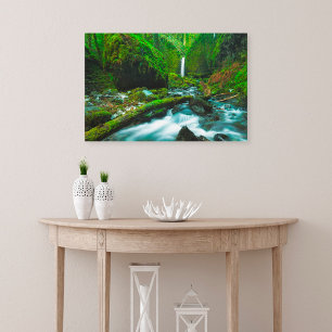Waterfalls Grotto Falls, Oregon Canvas Print