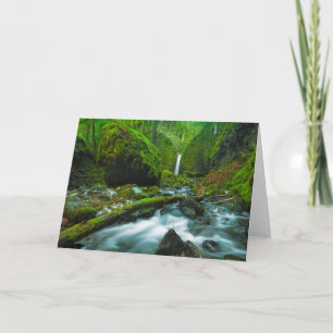 Waterfalls Grotto Falls, Oregon Card