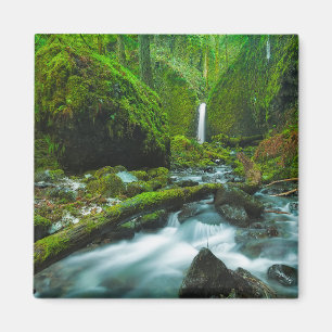 Waterfalls   Grotto Falls, Oregon Magnet