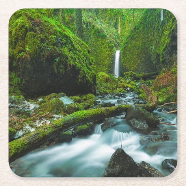 Waterfalls | Grotto Falls, Oregon Square Paper Coaster (Front)