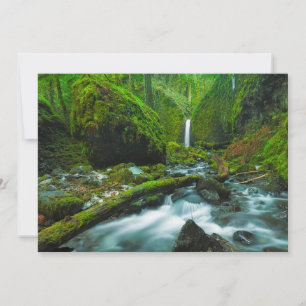 Waterfalls Grotto Falls, Oregon Thank You Card