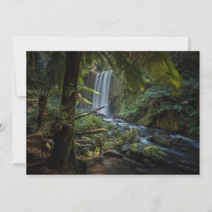 Waterfalls   Hopetoun Falls, New Zealand Thank You Card