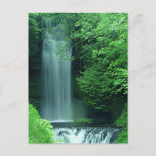 Waterfalls In Zion Postcard