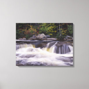 Waterfalls, Kancamagus Highway, White Canvas Print