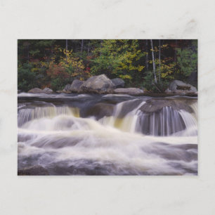 Waterfalls, Kancamagus Highway, White Postcard