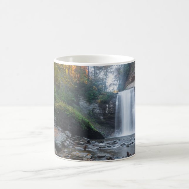Waterfalls | Looking Glass Waterfalls Coffee Mug (Center)
