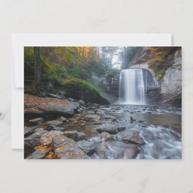 Waterfalls | Looking Glass Waterfalls Thank You Card (Front)