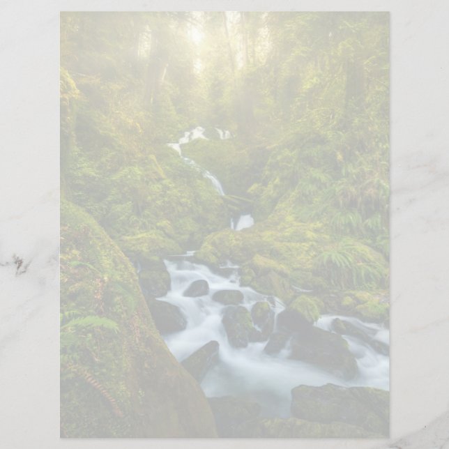 Waterfalls | Olympic National Park, Washington (Front)