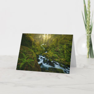 Waterfalls Olympic National Park, Washington Card
