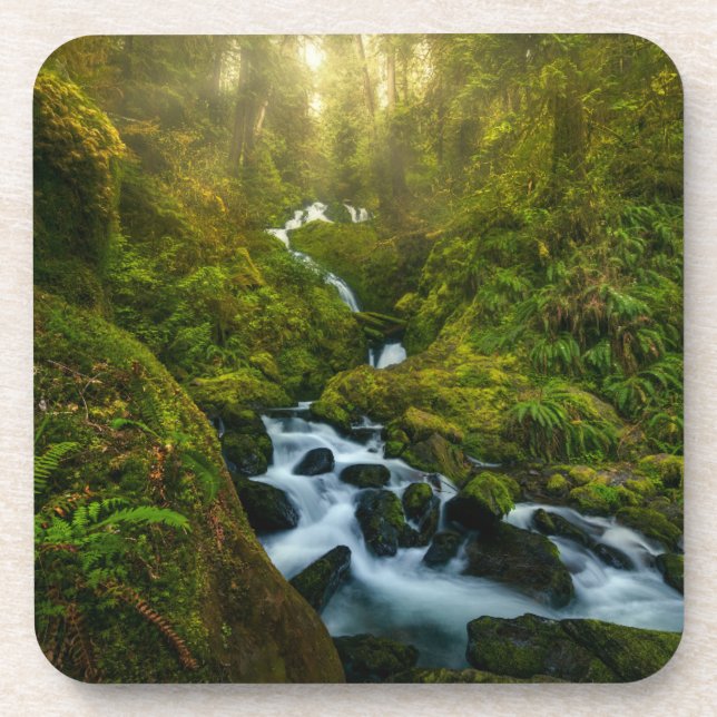 Waterfalls | Olympic National Park, Washington Coaster (Front)