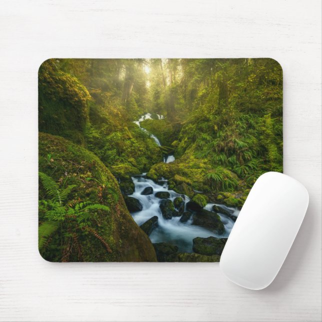 Waterfalls | Olympic National Park, Washington Mouse Pad (With Mouse)