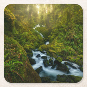 Waterfalls   Olympic National Park, Washington Square Paper Coaster