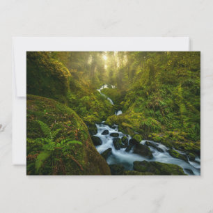 Waterfalls Olympic National Park, Washington Thank You Card