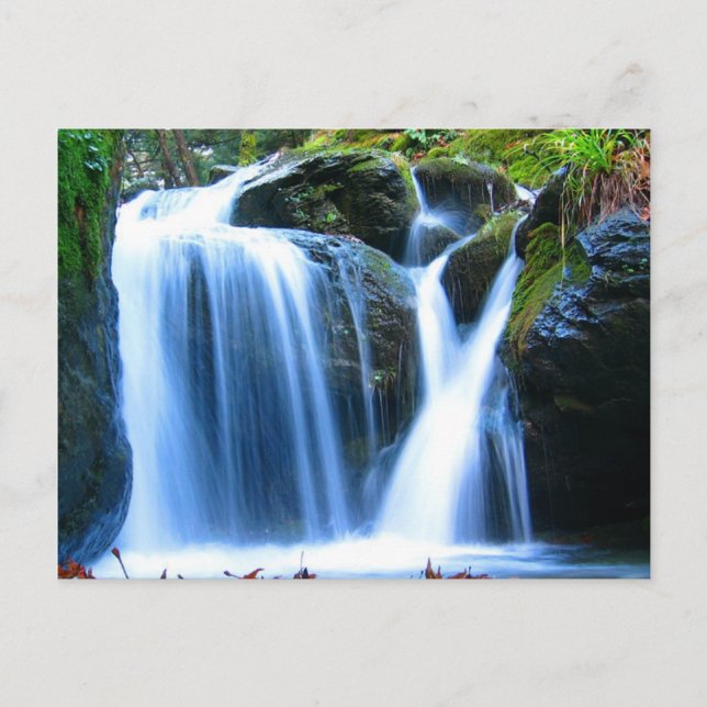 waterfalls postcard (Front)