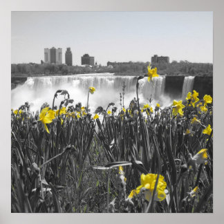 Waterfalls Poster