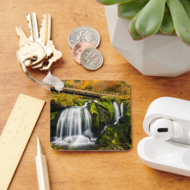Waterfalls | Triberg Waterfalls, Germany Key Ring (Desk)