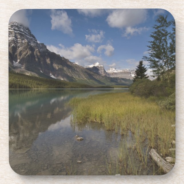Waterfowl lake along the Icefields parkway, Coaster (Front)