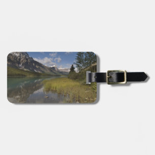 Waterfowl lake along the Icefields parkway, Luggage Tag