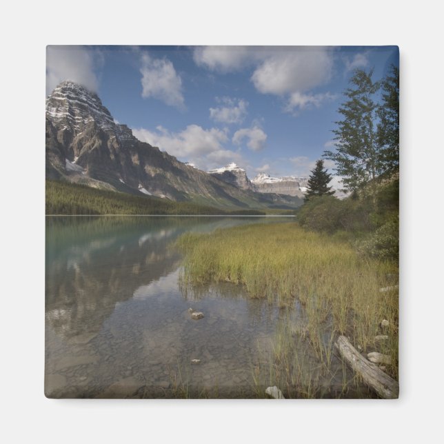 Waterfowl lake along the Icefields parkway, Magnet (Front)