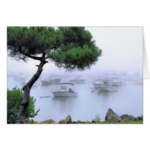 Waterfront Fog