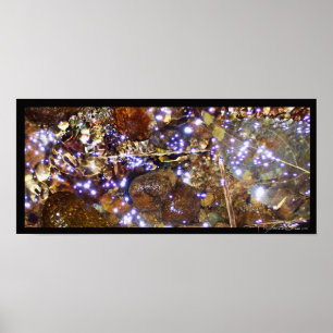 Waterlight print