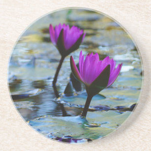 Waterlilies Coaster