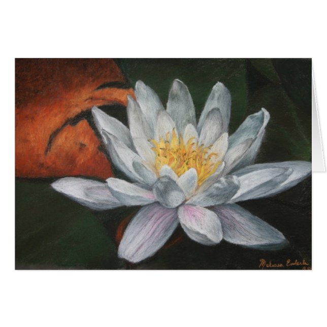 Waterlilly with Dead Pad (Front Horizontal)